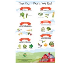 Seed Soil Sun Companion Poster - The Plant Parts We Eat